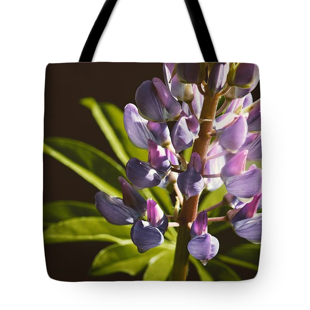 Lupine Tote Bag featuring the photograph Lupines by Holly Ross