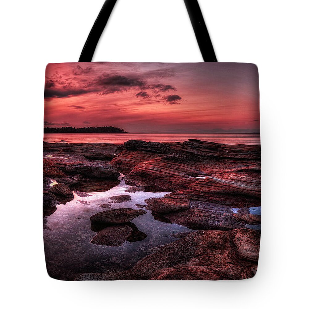 Madrona Point Tote Bag featuring the photograph Madrona #1 by Randy Hall