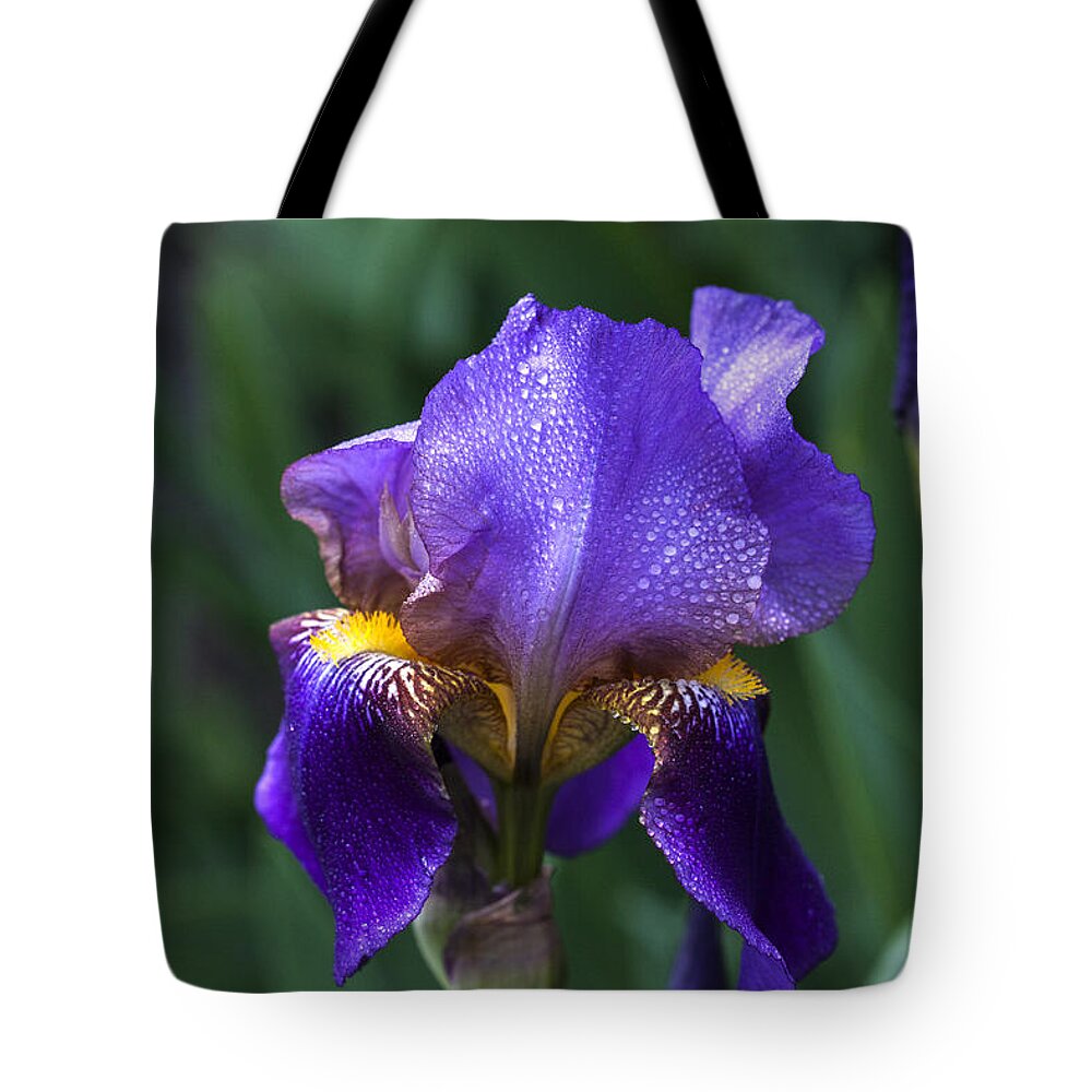 Iris Tote Bag featuring the photograph Majesty #2 by Doug Norkum