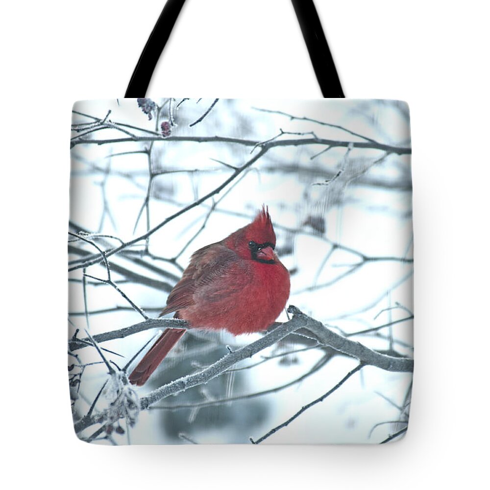 Cardinal Tote Bag featuring the photograph Male Cardinal in Winter #2 by David Arment