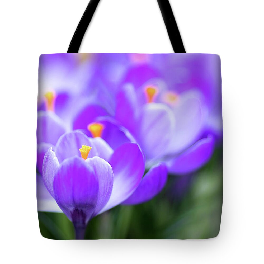 Crocus Tote Bag featuring the photograph Marching into Spring #1 by Rebecca Cozart