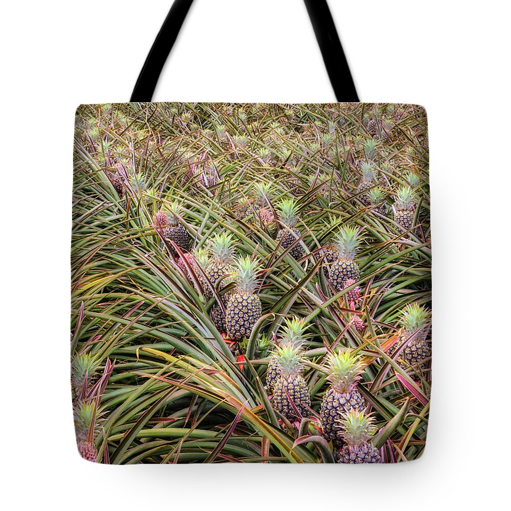 Hawaii Tote Bag featuring the photograph Maui Gold Pineapples #1 by Jim Thompson