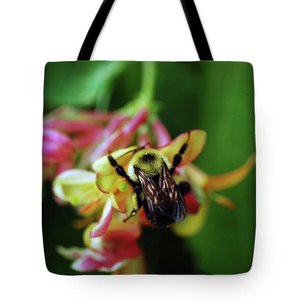 Honeysuckle Tote Bag featuring the photograph Mine All Mine #1 by Lori Tambakis