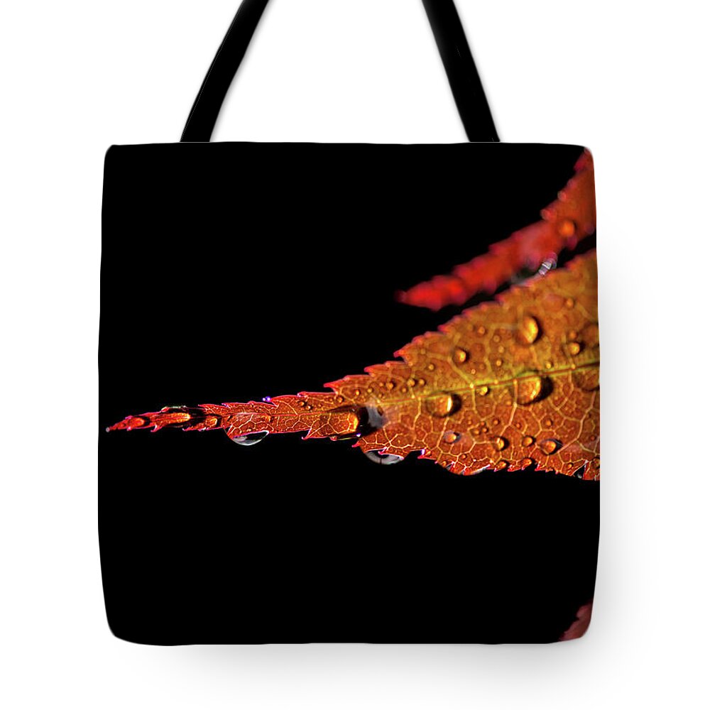Dew Tote Bag featuring the photograph Morning Dew #1 by Robert McKay Jones