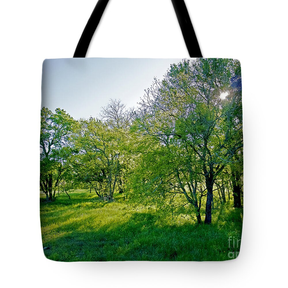 Risen Tote Bag featuring the photograph Morning Has Risen #1 by Gary Richards