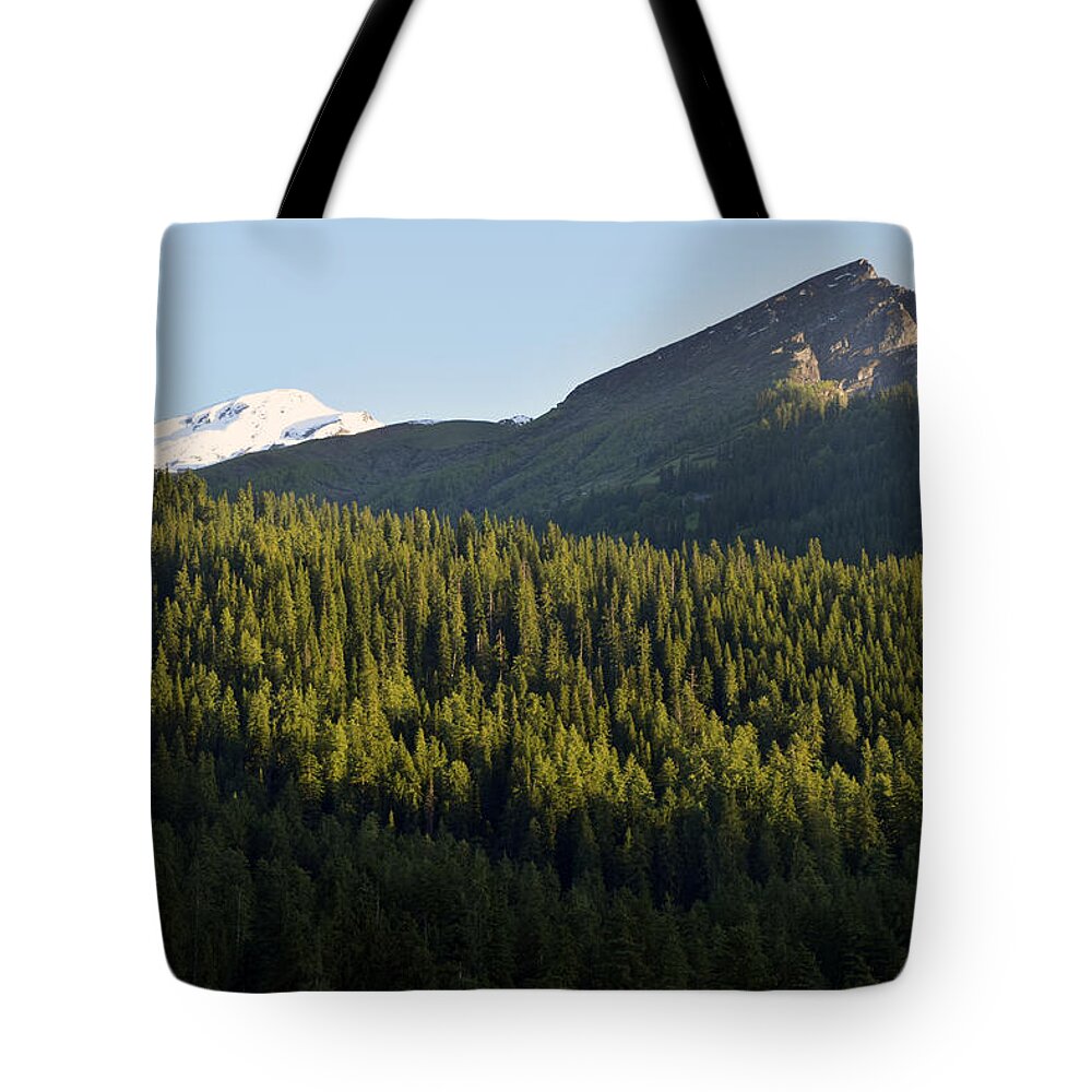Mountains Tote Bag featuring the photograph Mountainscape #1 by Sumit Mehndiratta