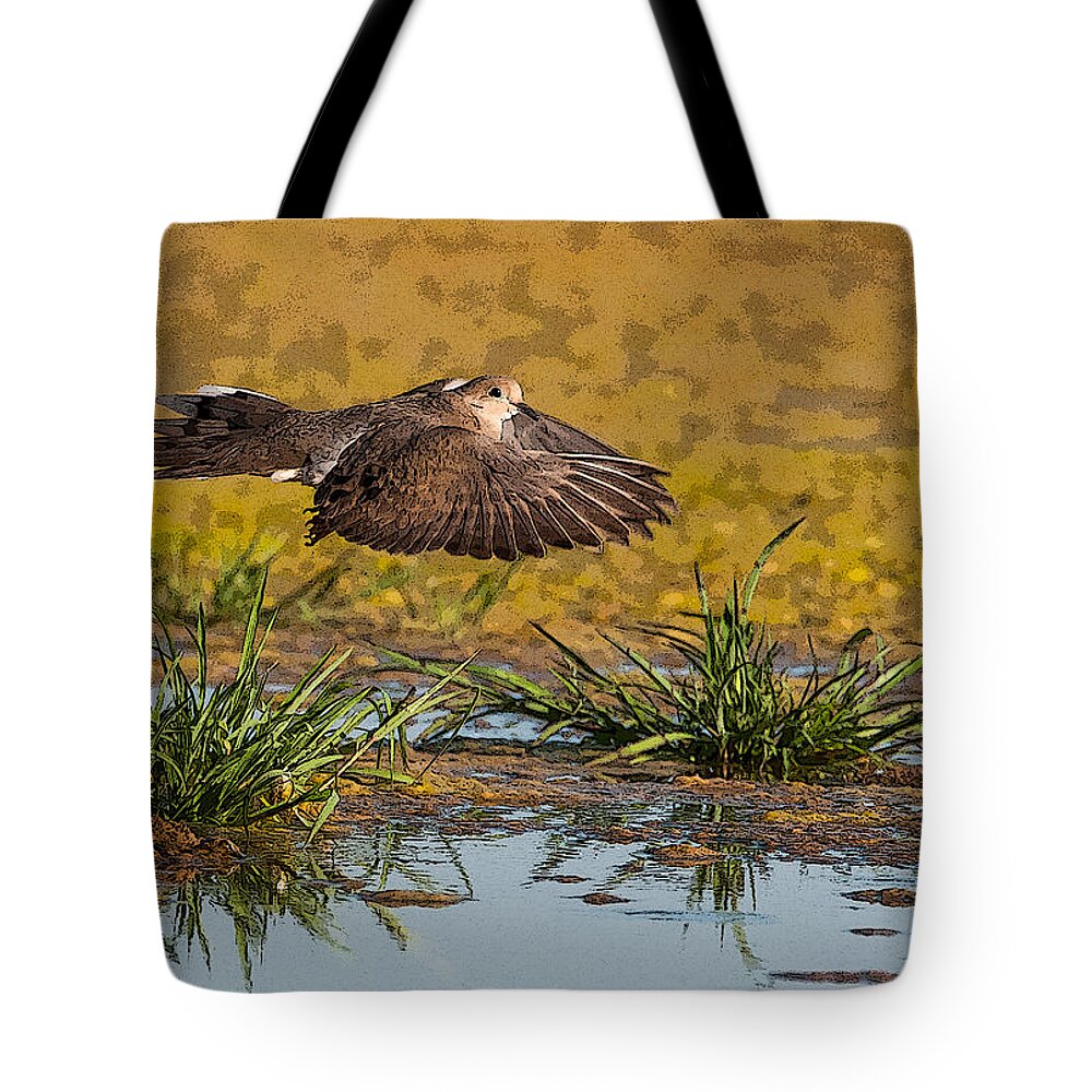 Mourning Dove Tote Bag featuring the photograph Mourning Dove in Flight #1 by Tam Ryan