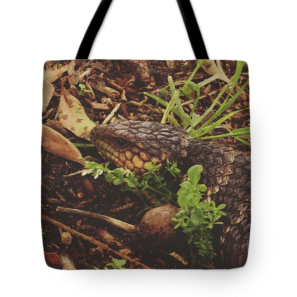 Lizard Tote Bag featuring the photograph Mr Bobtail by Cassandra Buckley
