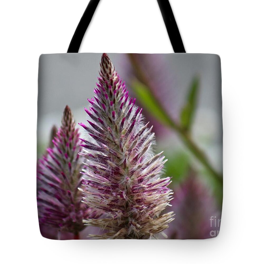 Pink Tote Bag featuring the photograph Mt. Washington Flowers #1 by Deena Withycombe