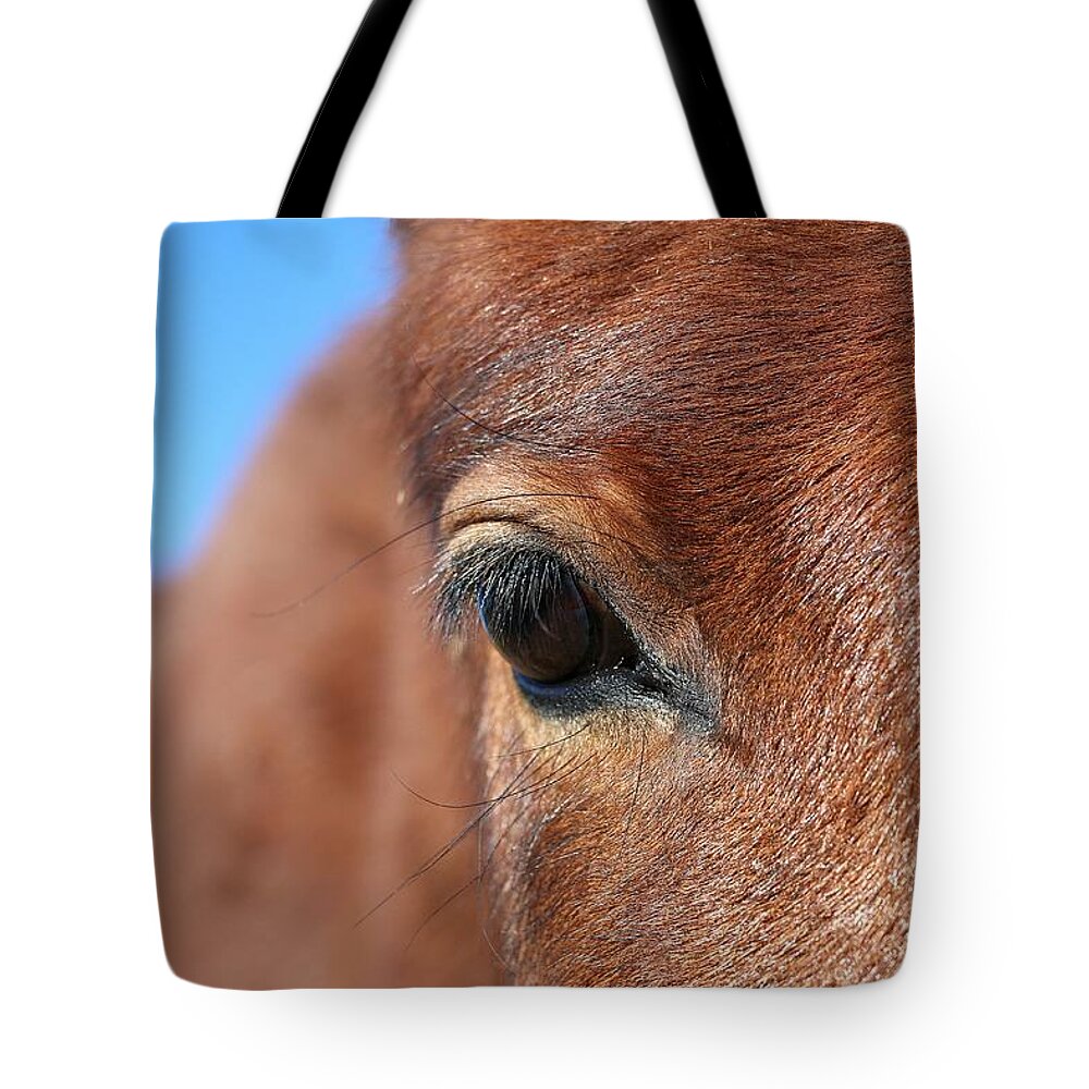 Virginia Range Mustangs Tote Bag featuring the photograph Mustang Macro #1 by Maria Jansson