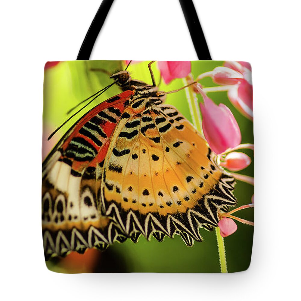 Butterfly Tote Bag featuring the photograph My Fair Lady #1 by Nick Boren