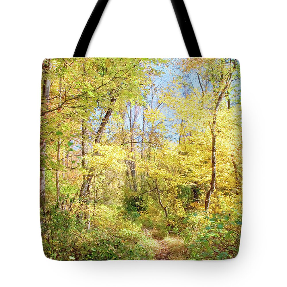 Path Tote Bag featuring the photograph Narrow Path Through A Forest in Autumn, Pennsylvania #1 by A Macarthur Gurmankin