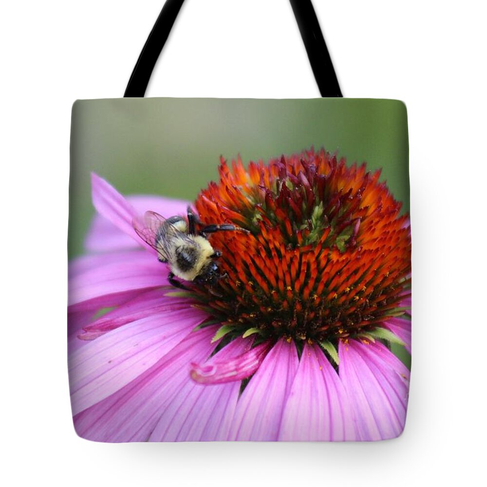 Pink Tote Bag featuring the photograph Nature's Beauty 78 by Deena Withycombe