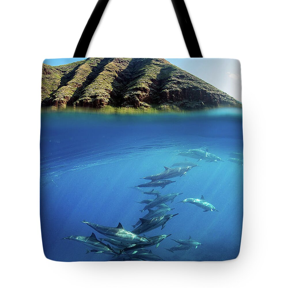 Dolphins Westside Oahu Above N Below Ocean Tote Bag featuring the photograph Ocean Realm #1 by James Roemmling