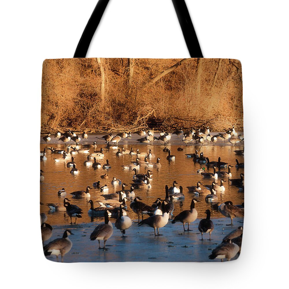Winter Scene Tote Bag featuring the photograph Open Water #1 by Ed Peterson