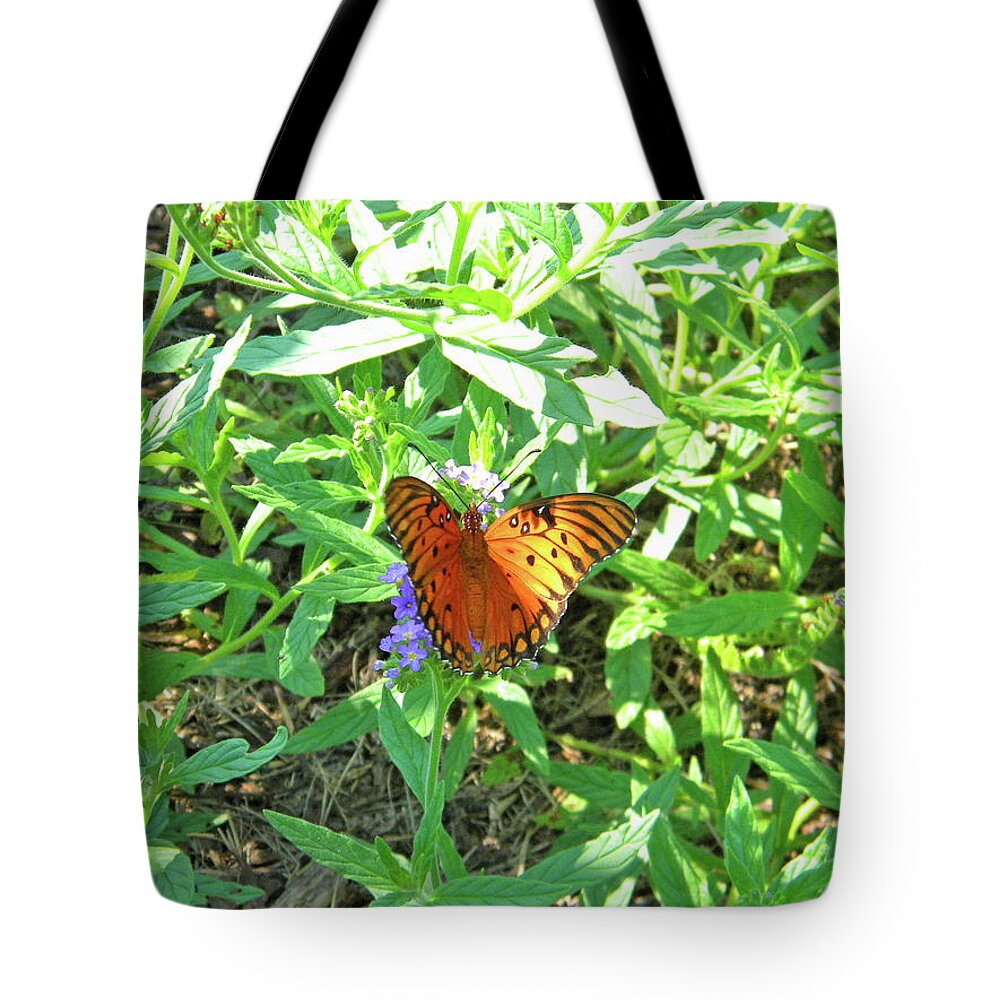 Summer Tote Bag featuring the photograph Orange Butterfly #1 by Matthew Seufer