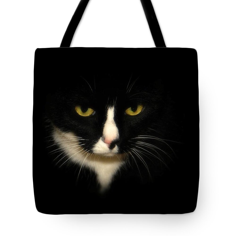 Cat Tote Bag featuring the photograph Oreo by Angie Tirado