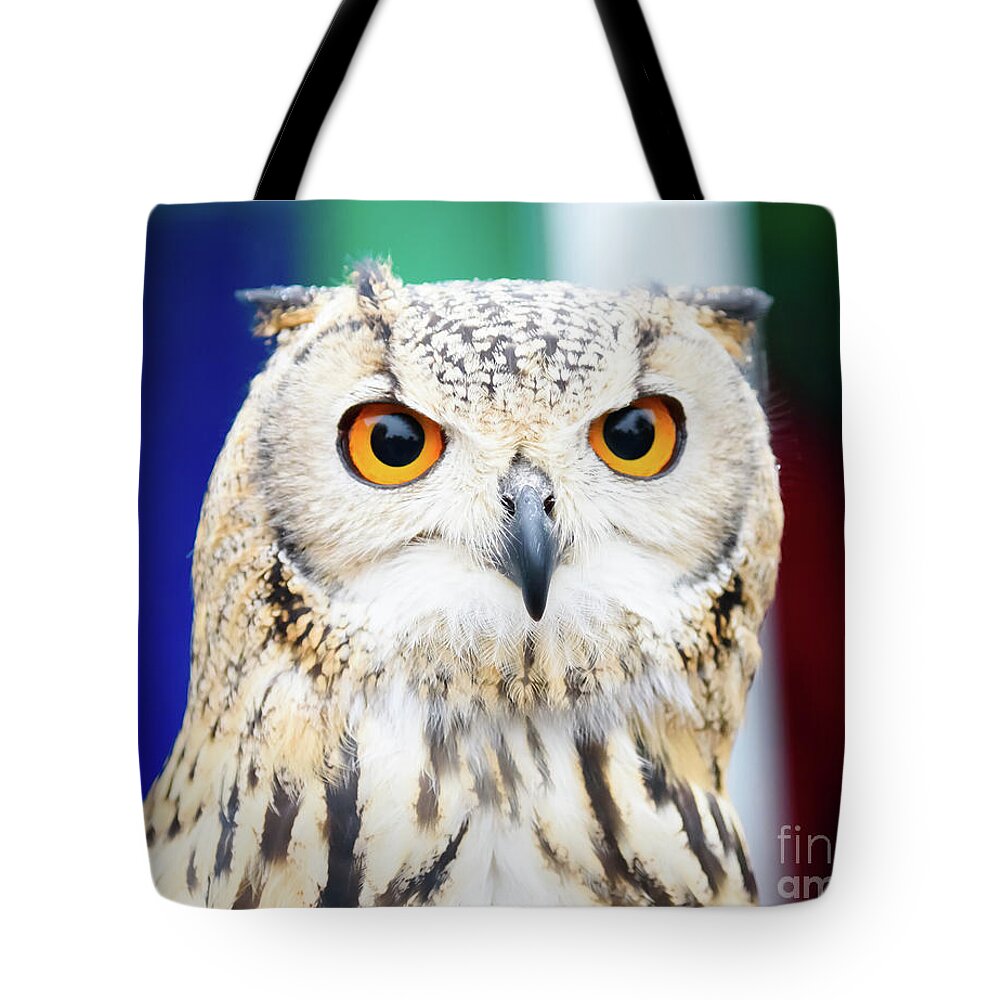 Owl Tote Bag featuring the photograph Owl #1 by Colin Rayner