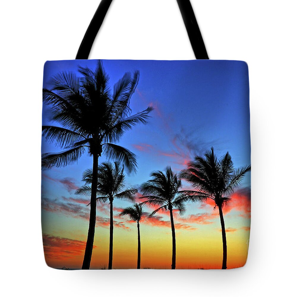 Beach Tote Bag featuring the photograph Palm Tree Skies by Scott Mahon