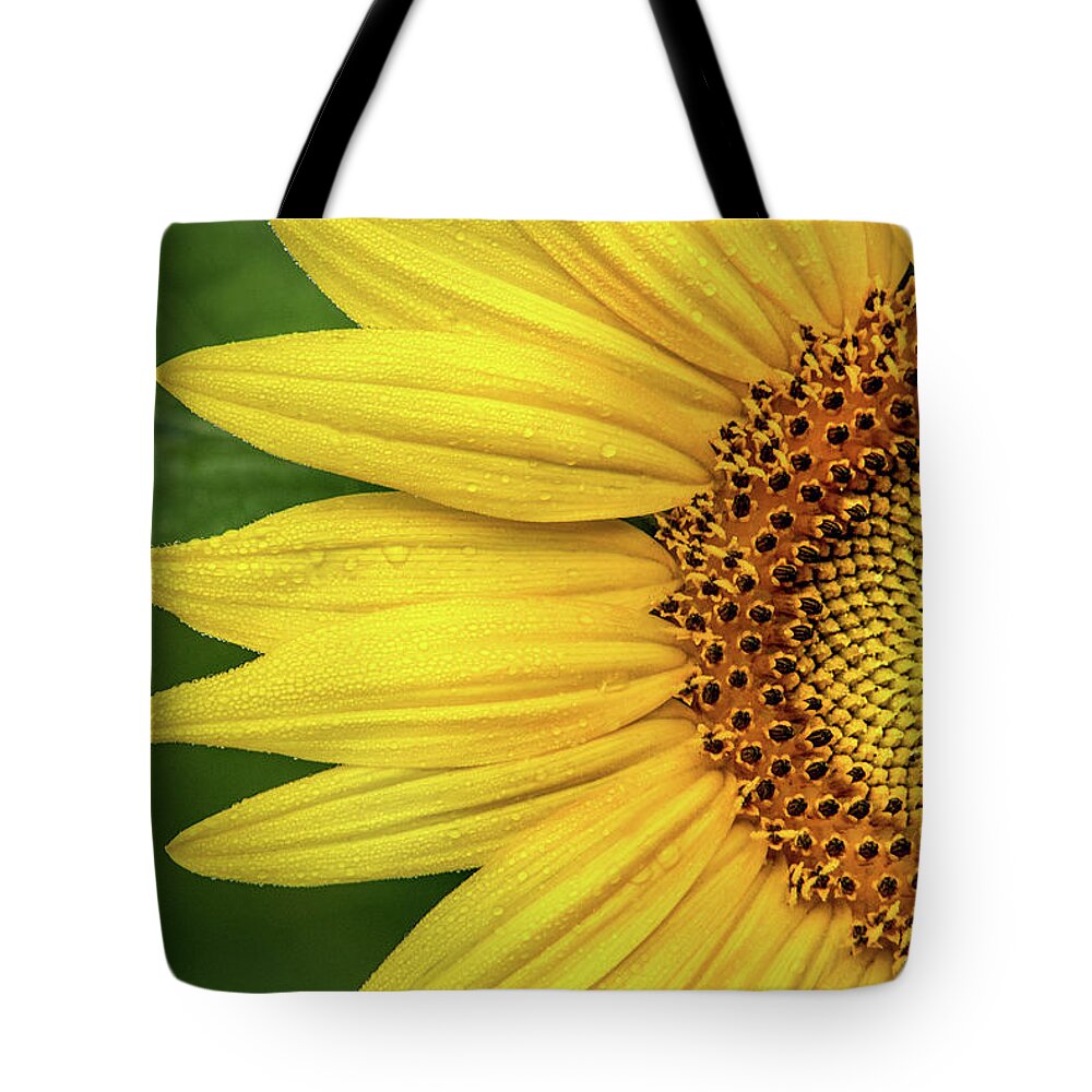 Flower Tote Bag featuring the photograph Partial Sunflower #1 by Don Johnson