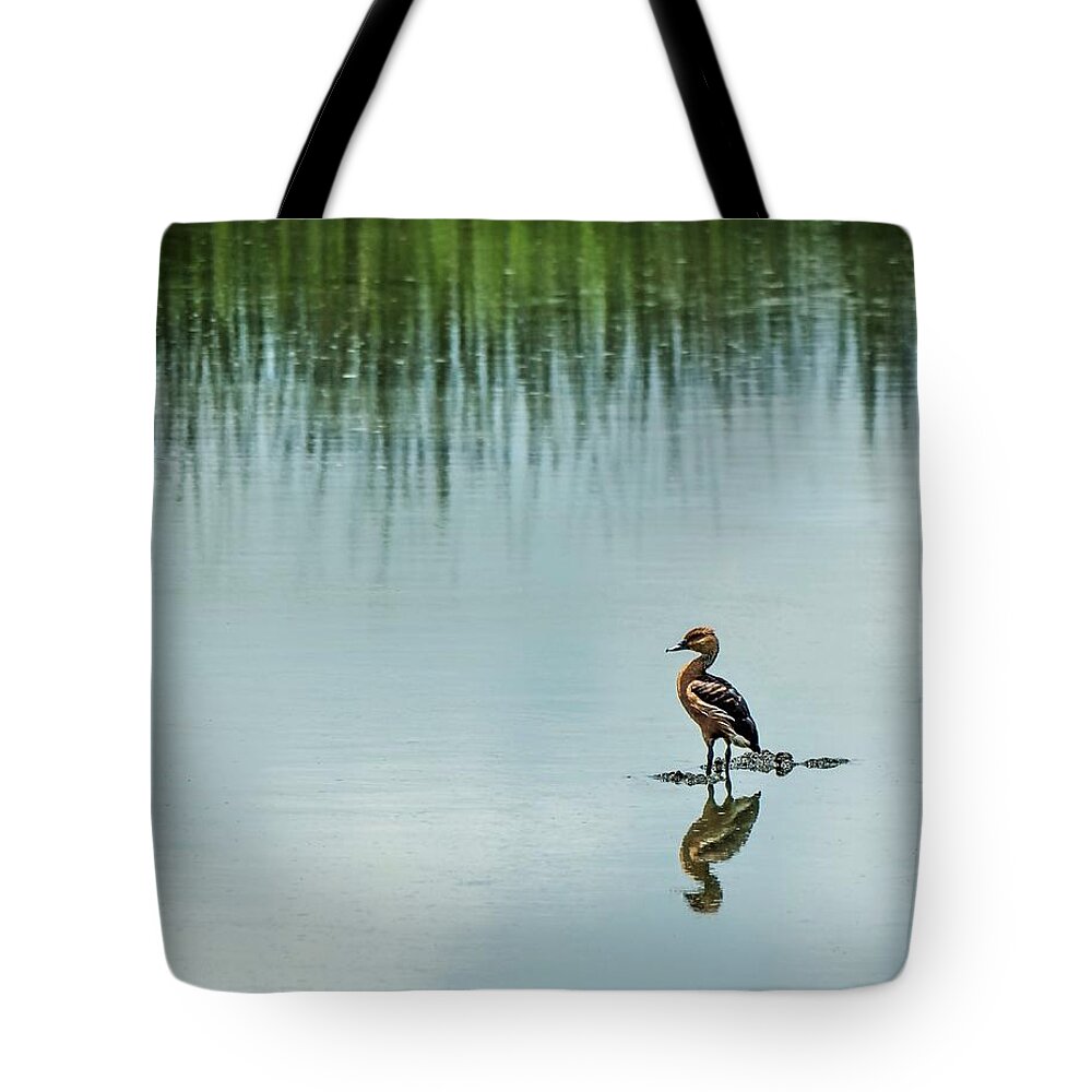 Duck Tote Bag featuring the photograph Peaceful Morning #1 by Jerry Connally