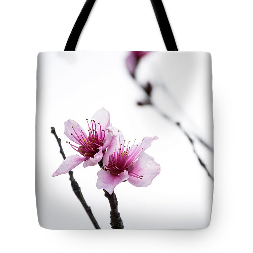 Peach Tote Bag featuring the photograph Peach Blossom #1 by Cheryl McClure