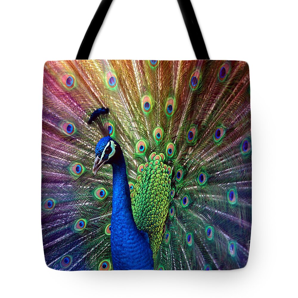Beauty Tote Bag featuring the photograph Peacock by Hannes Cmarits