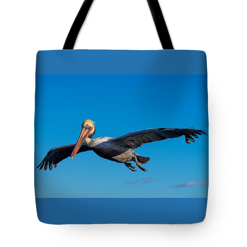 Pelican Tote Bag featuring the photograph Pelican by Derek Dean
