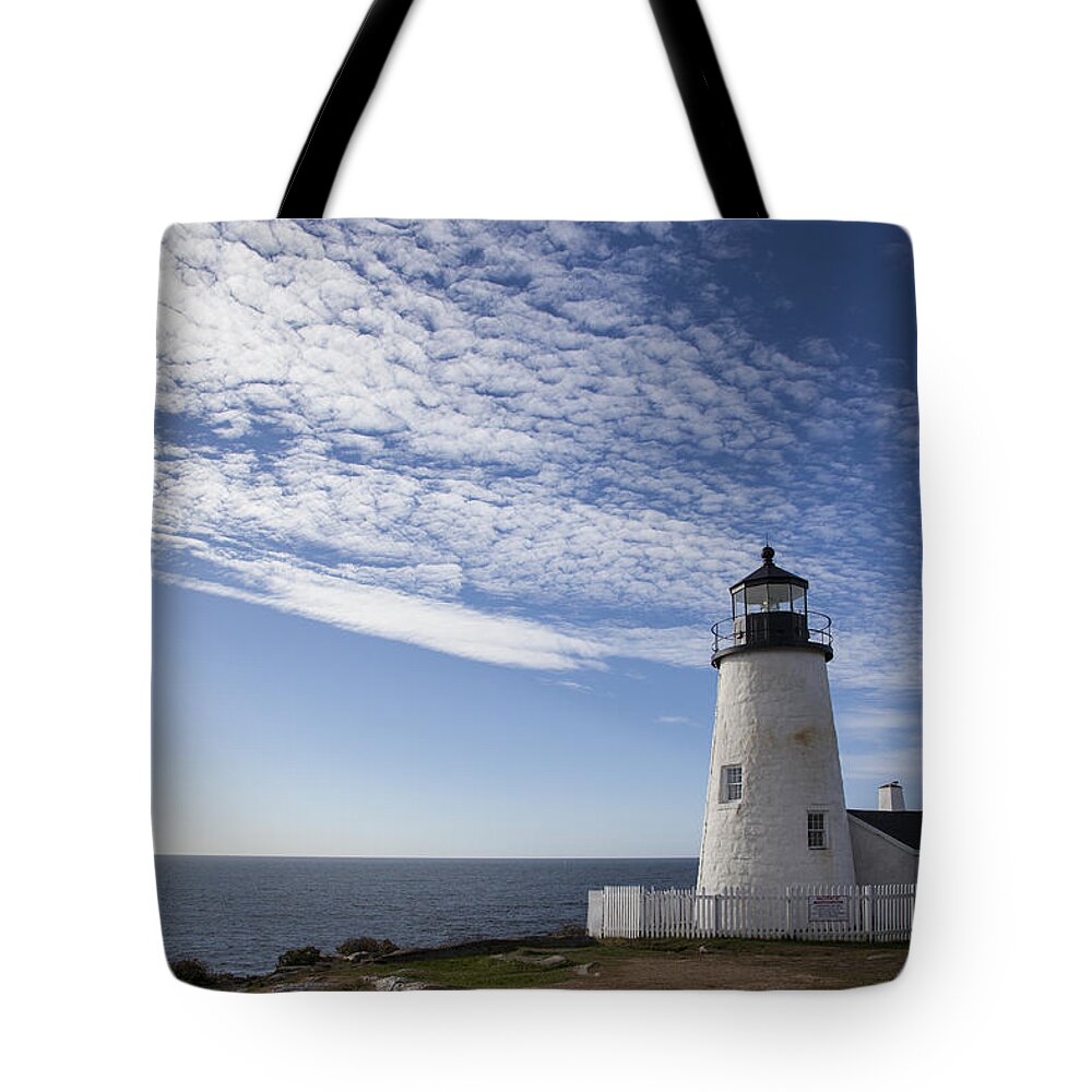 Pemaquid Tote Bag featuring the photograph Pemaquid Lighthouse #1 by Timothy Johnson