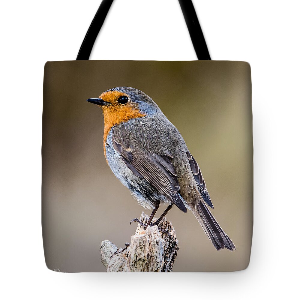 Perching Tote Bag featuring the photograph Perching Robin by Torbjorn Swenelius