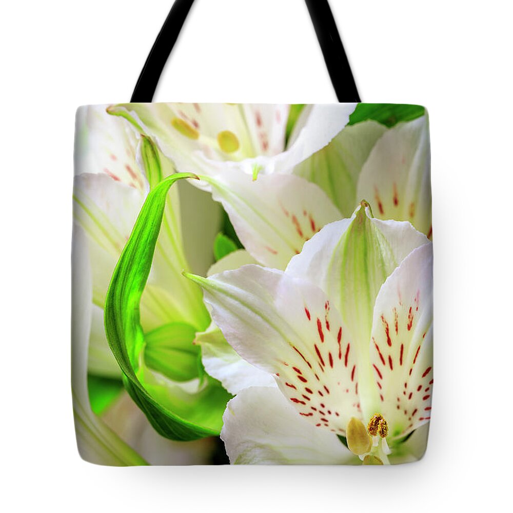 Peruvian Lilies Tote Bag featuring the photograph Peruvian Lilies In Bloom #2 by Richard J Thompson
