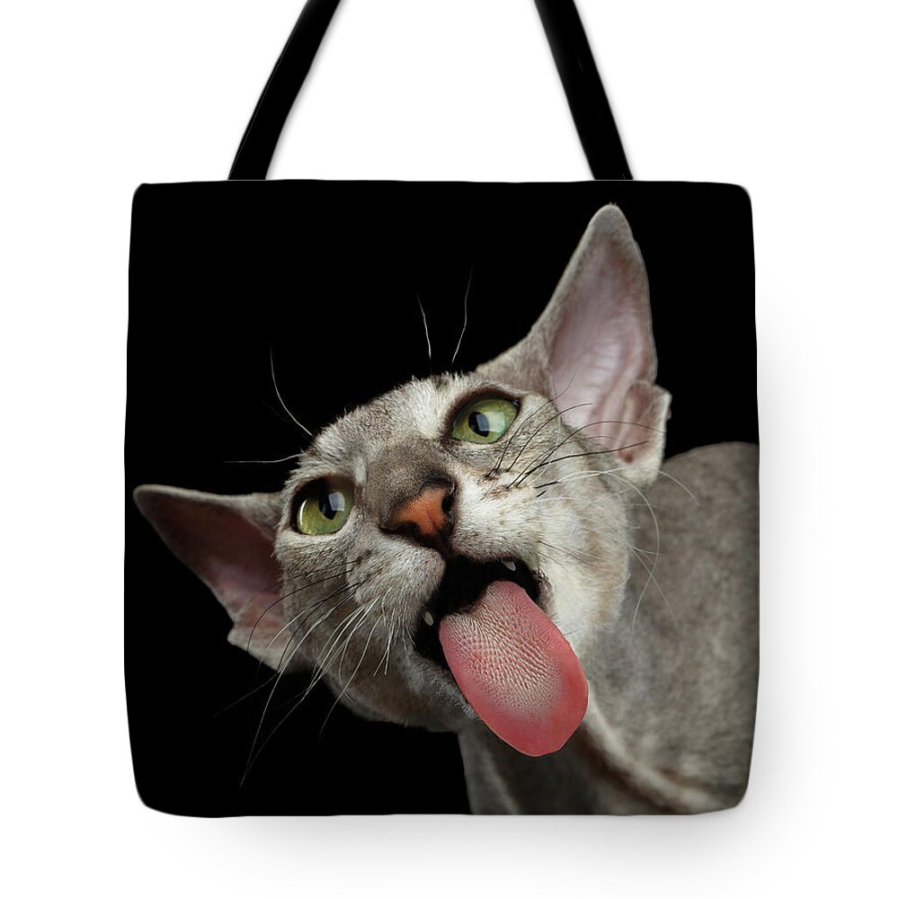 Sphynx Cat Tote Bags