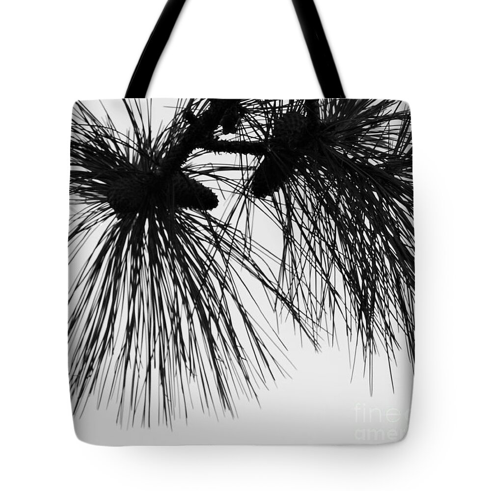 Abstract Tote Bag featuring the photograph Pine Needles #2 by Jan Gelders