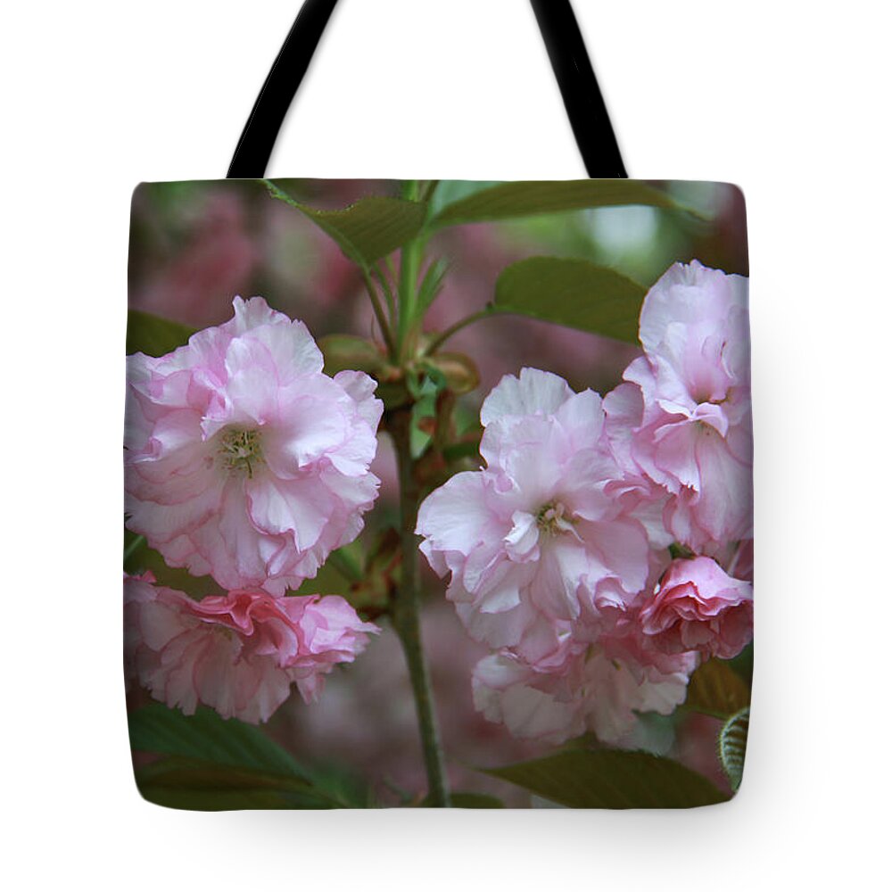 Pink Tote Bag featuring the photograph Pink Blossoms of Crabapple Tree by Yvonne Wright