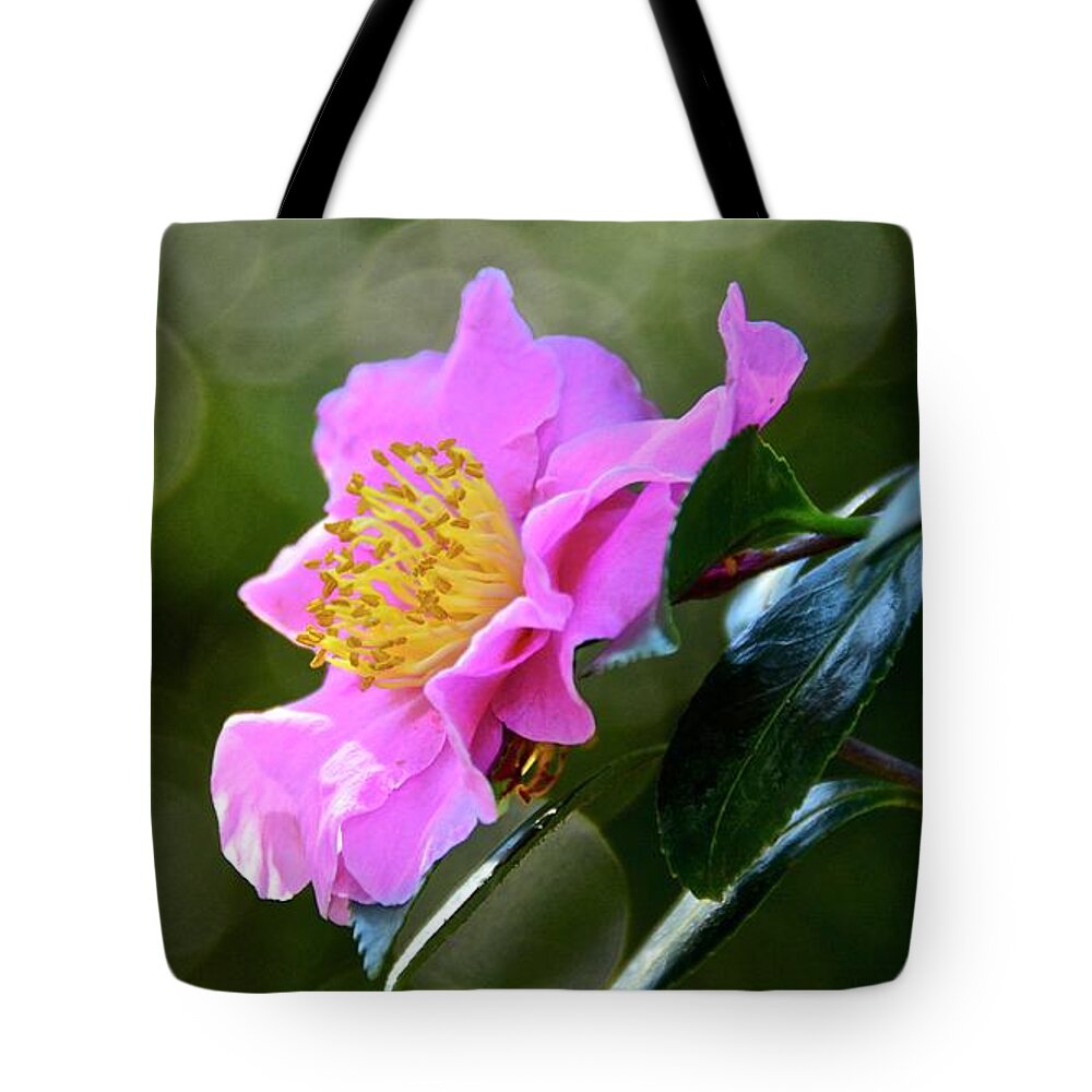 Flower Tote Bag featuring the photograph Pink #1 by Carol Bradley