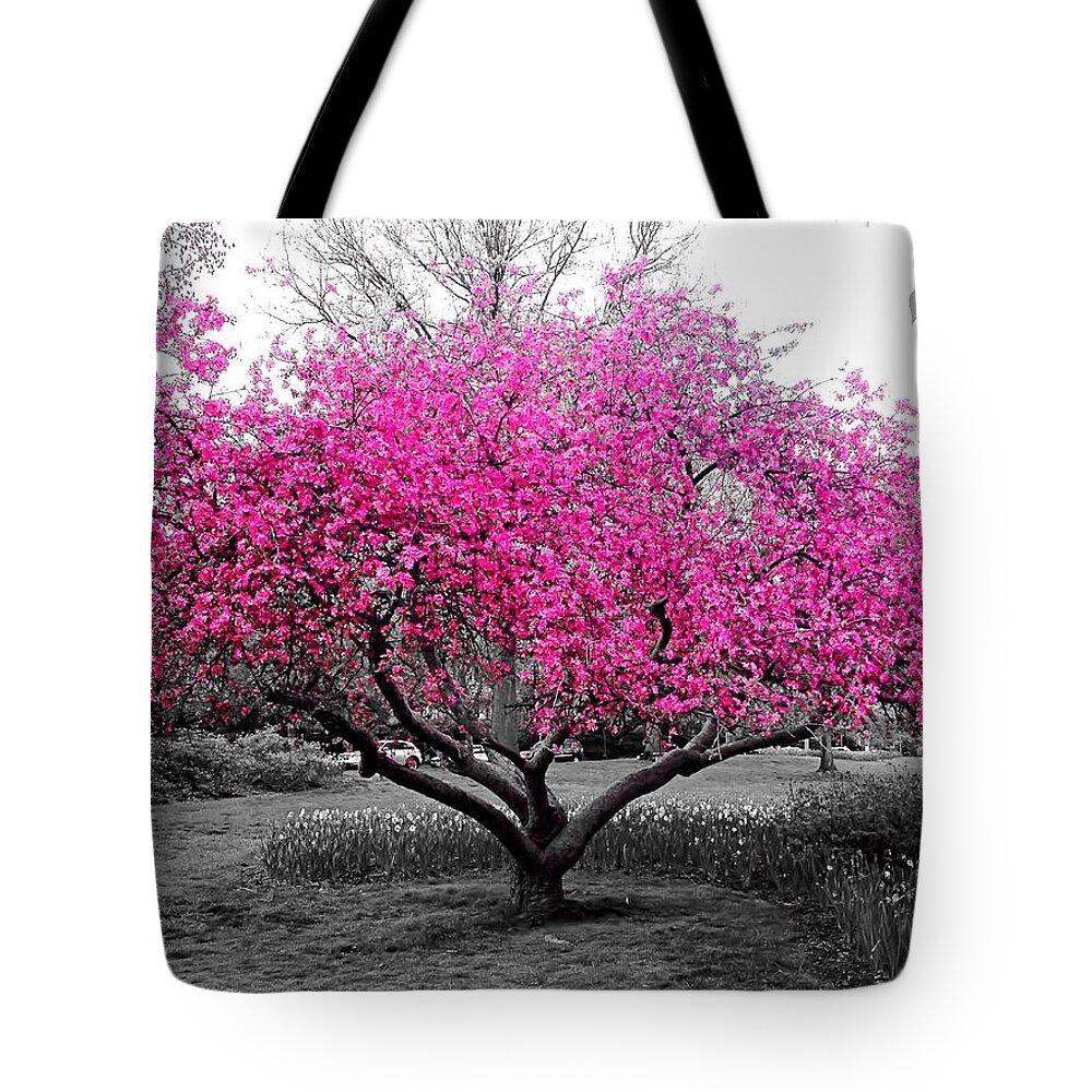 Tree Tote Bag featuring the photograph Pink Tree by Chris Montcalmo