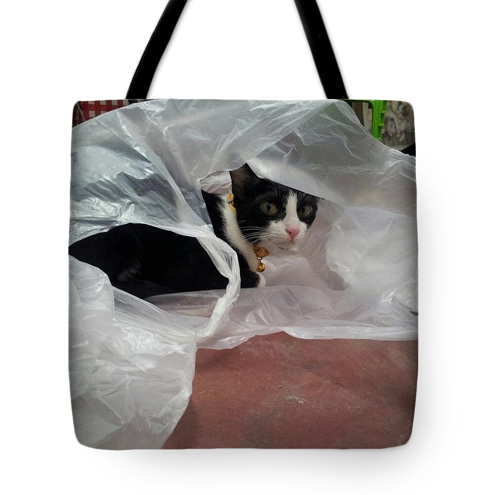 Gatchee Tote Bag featuring the photograph Playing of A Cat by Sukalya Chearanantana