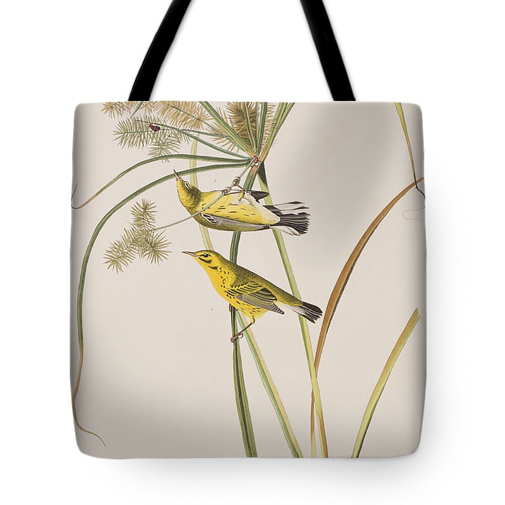 Prairie Warbler Tote Bags