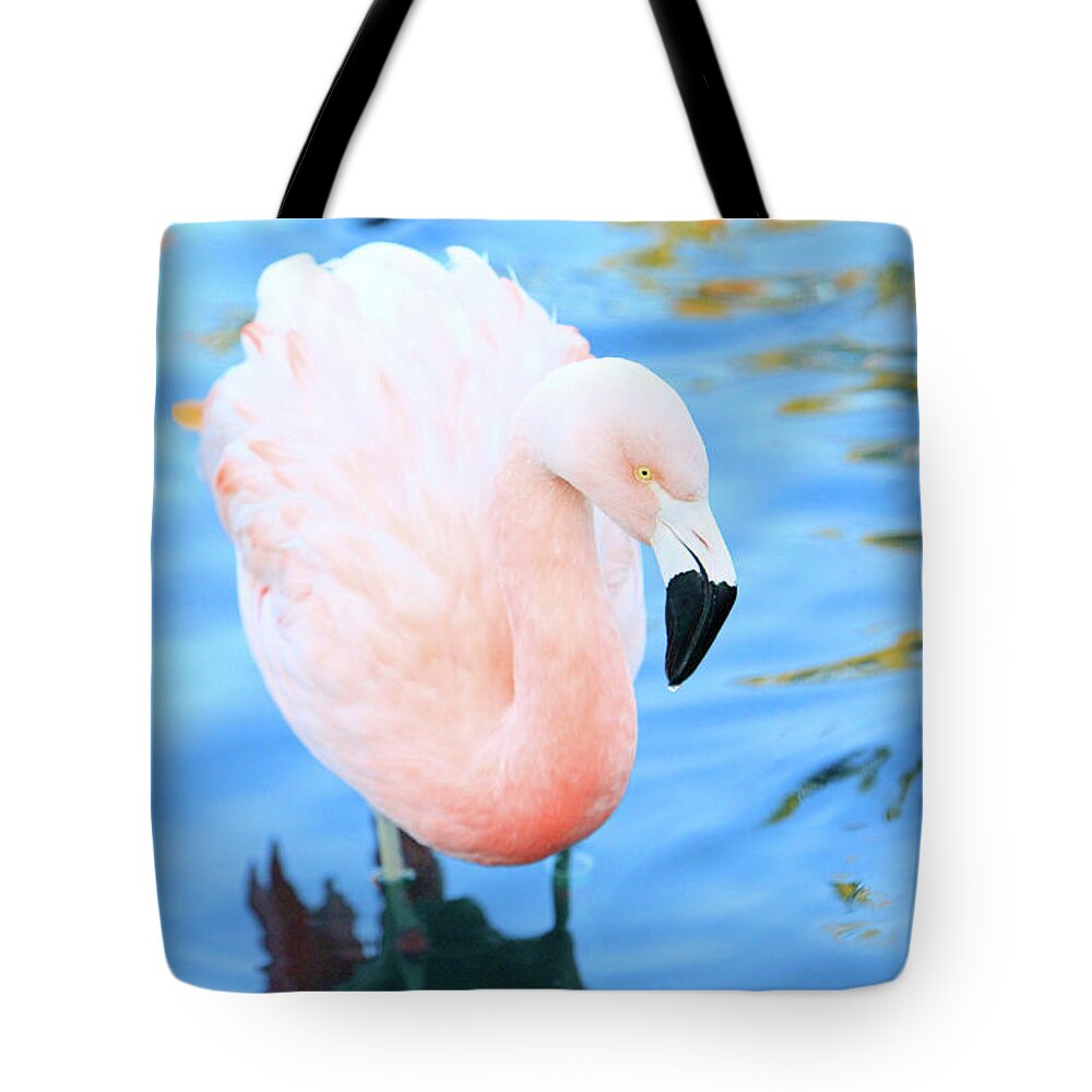 Flamingo Tote Bag featuring the photograph Pretty in Pink #1 by Shoal Hollingsworth