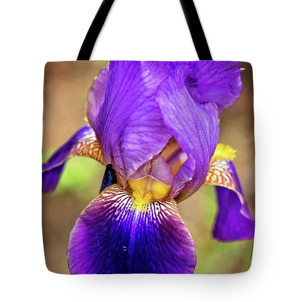 Purple Bearded Iris Print Tote Bag featuring the photograph Purple Bearded Iris Print by Gwen Gibson