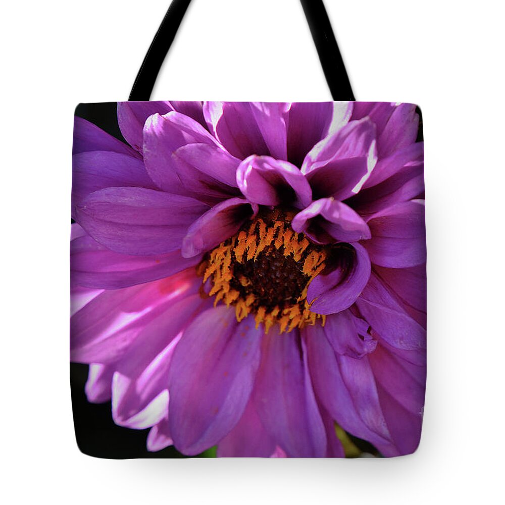 Dahlia Tote Bag featuring the photograph Purple by Debby Pueschel