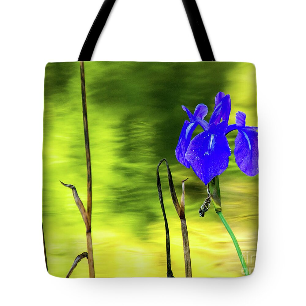 Tinas Captured Moments Tote Bag featuring the photograph Purple Iris #1 by Tina Hailey