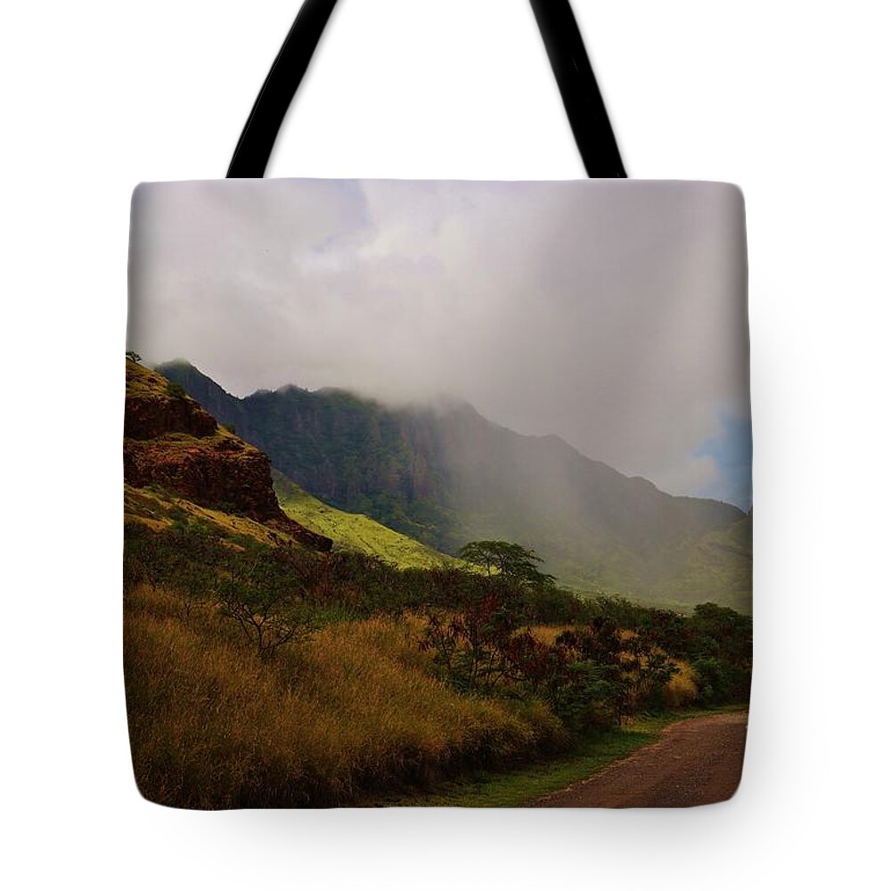 Waianae Tote Bag featuring the photograph Rain in the Valley #1 by Craig Wood
