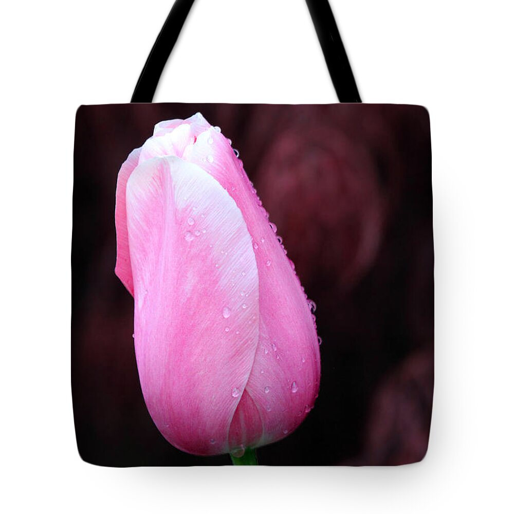 Tulip Tote Bag featuring the photograph Raindrops by Jackson Pearson