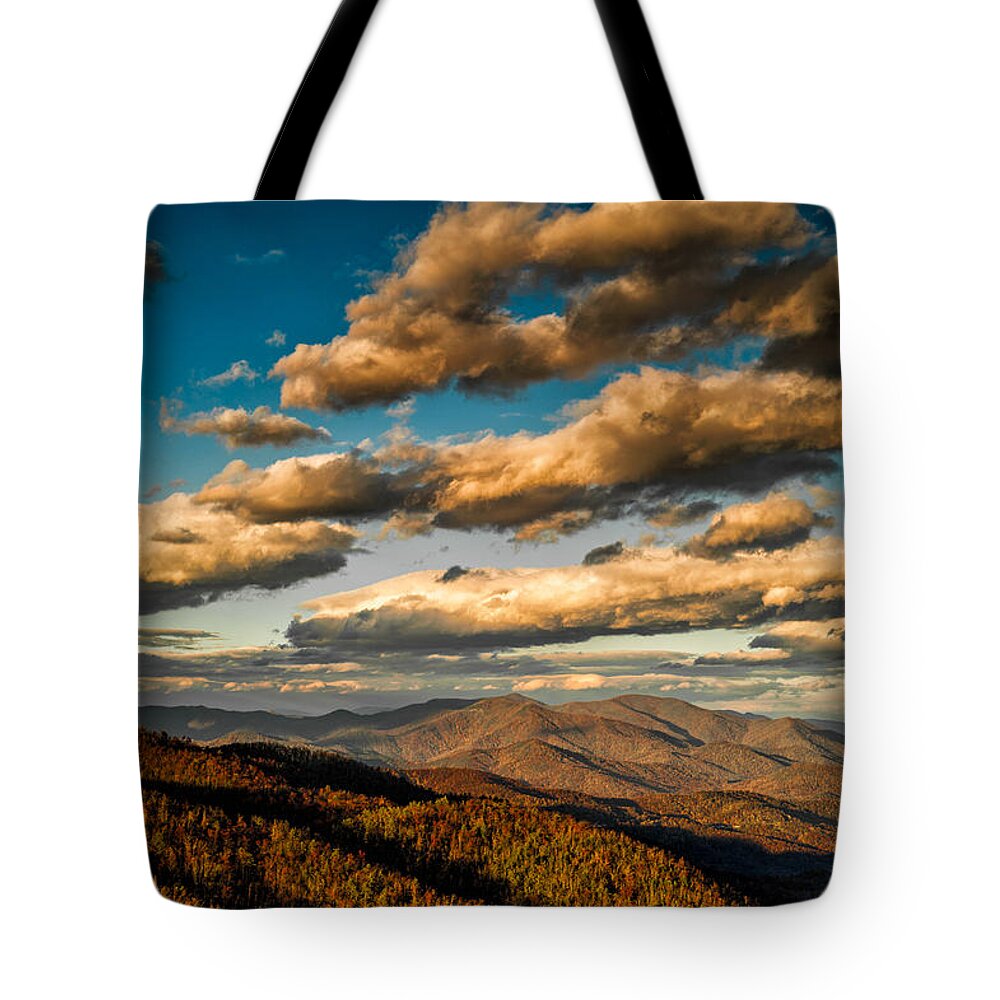 Autumn Tote Bag featuring the photograph Reaching for the Light by Joye Ardyn Durham