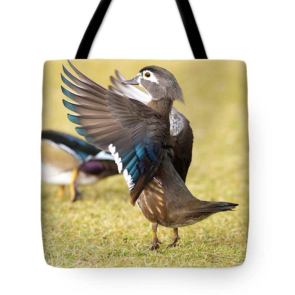 Reaching For The Sky Tote Bag featuring the photograph Reaching for the sky #2 by Lynn Hopwood