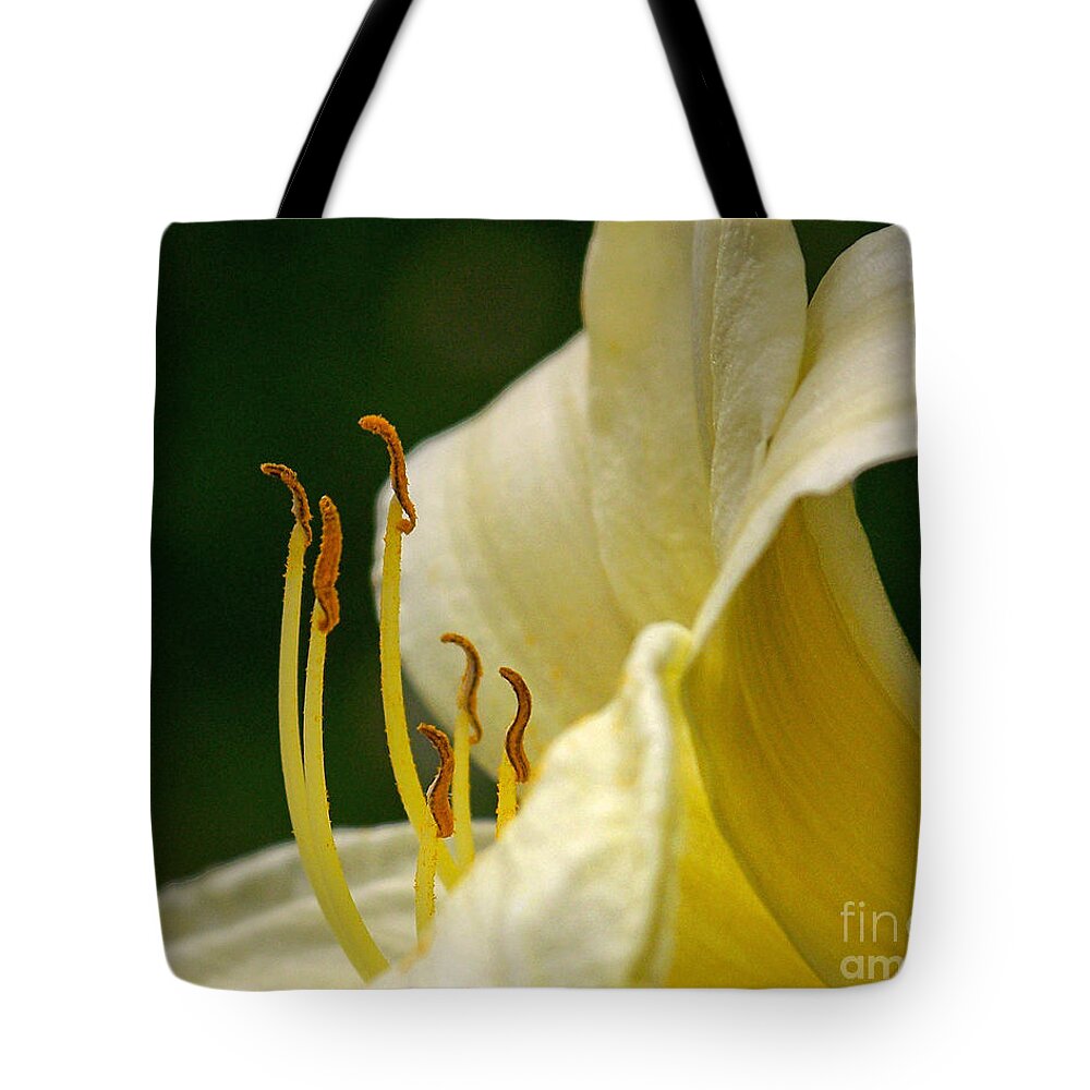 Color Photography Tote Bag featuring the photograph Ready To March by Sue Stefanowicz