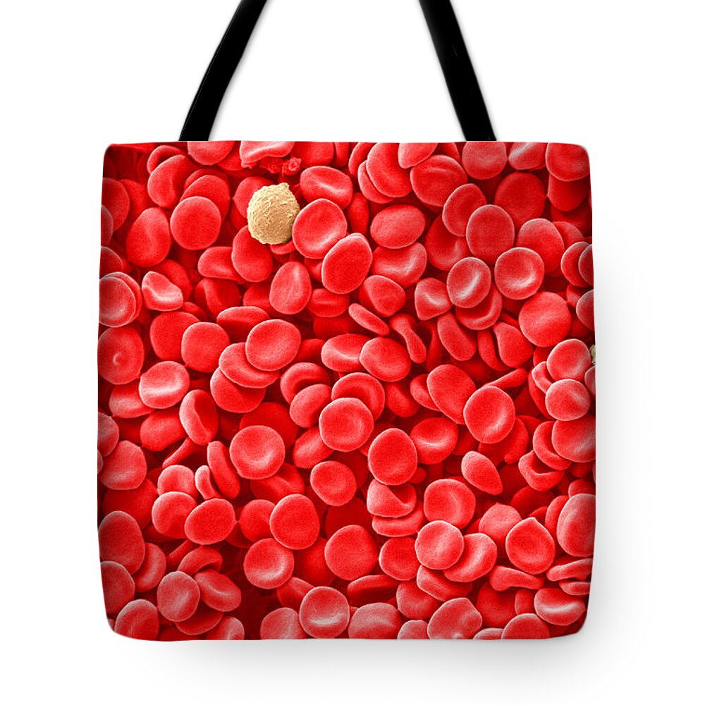 Red Blood Cells Tote Bag featuring the photograph Red Blood Cells, Sem #1 by Scimat