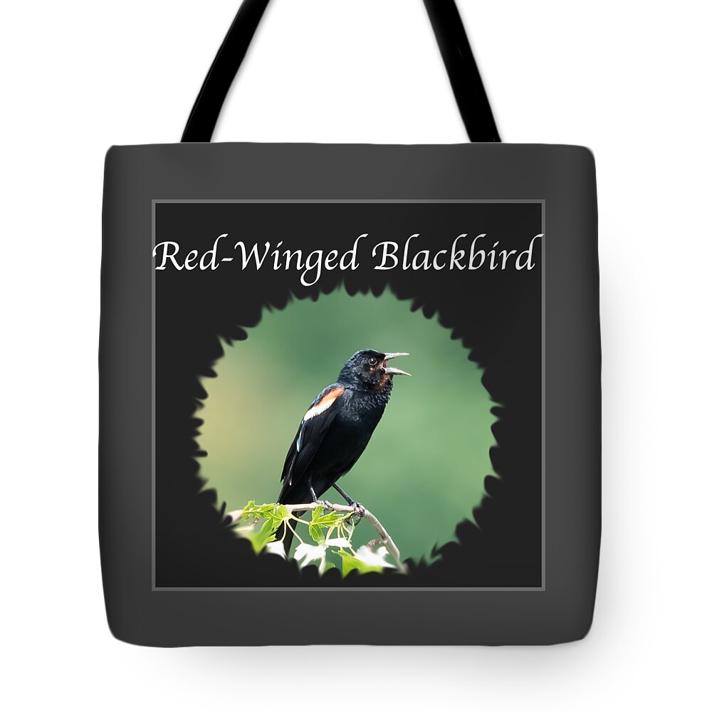 Red-winged Blackbird Tote Bag featuring the photograph Red-Winged Blackbird by Holden The Moment