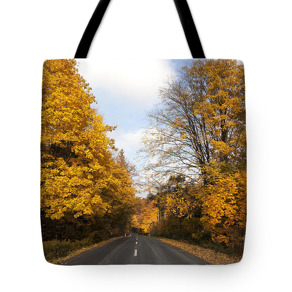 Asphalt Tote Bag featuring the photograph Road In Autumn Forest #1 by Michal Boubin